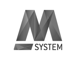 M-System