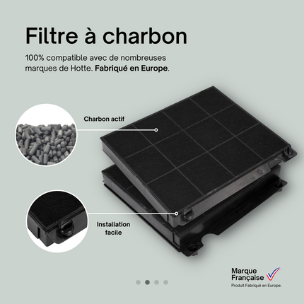 Point Filtre® - Actief koolstoffilter voor AEG / Electrolux / Zanussi afzuigkap model 15 type 15 4055054599 9029793818 KF71 